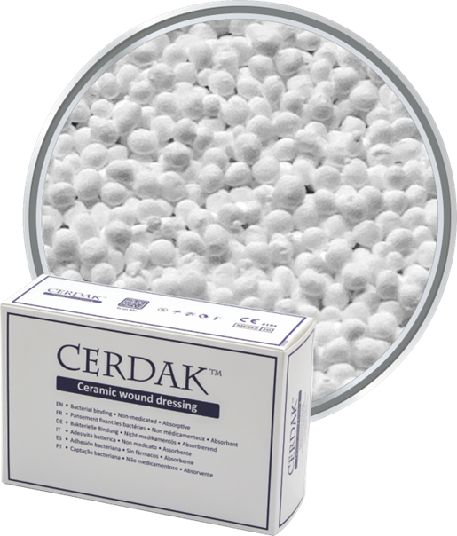 Cerdak